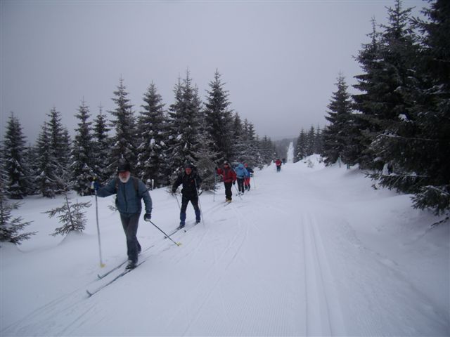 Promenádní cesta